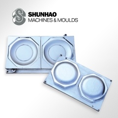 Melamine Tableware Mould